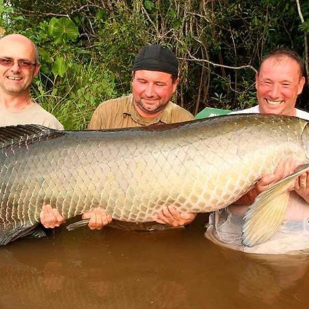 Amazon Queen Lodge Mazan Bagian luar foto