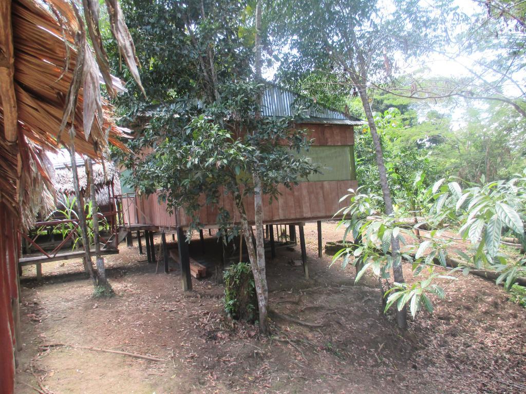 Amazon Queen Lodge Mazan Bagian luar foto
