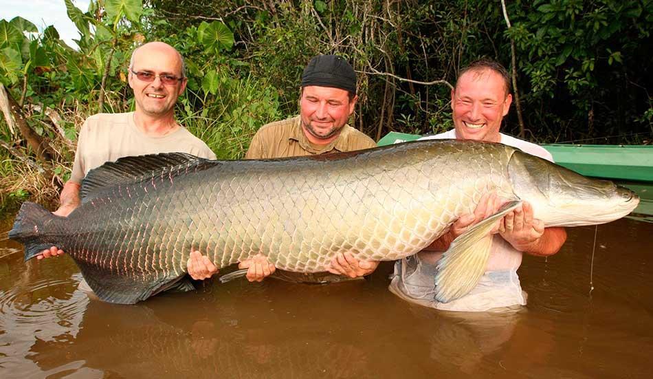 Amazon Queen Lodge Mazan Bagian luar foto