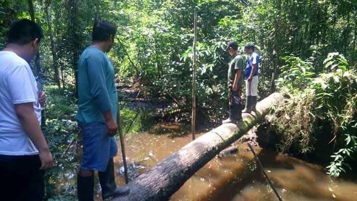 Amazon Queen Lodge Mazan Bagian luar foto