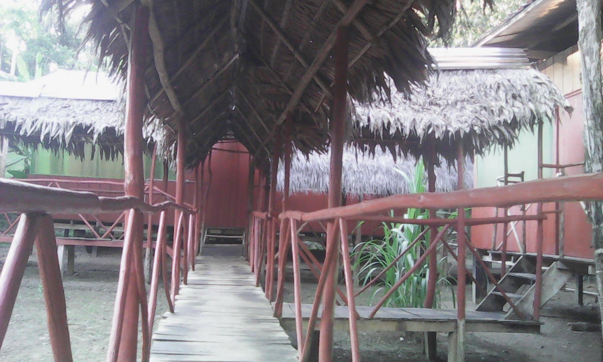 Amazon Queen Lodge Mazan Bagian luar foto