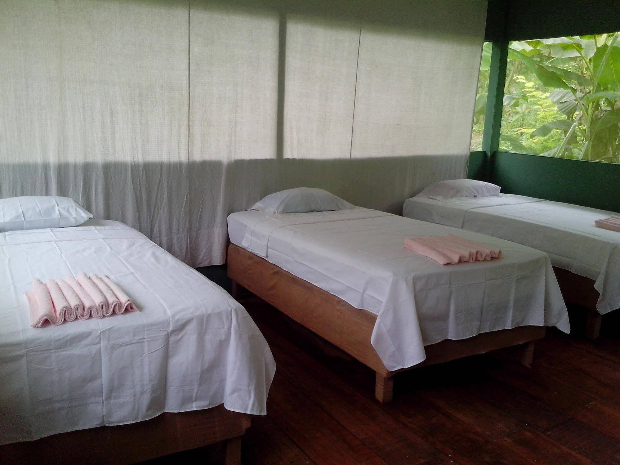 Amazon Queen Lodge Mazan Bagian luar foto